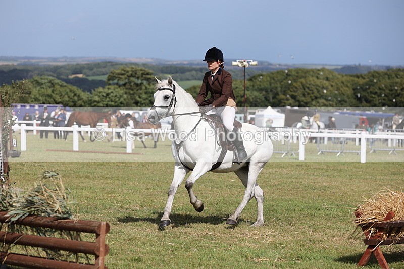 JPP_2567 - Class 20: Working Hunter 70cm