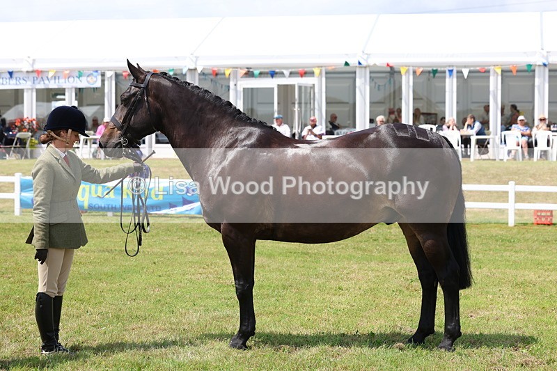 3E7A1643 - Class 9: Open Hunter