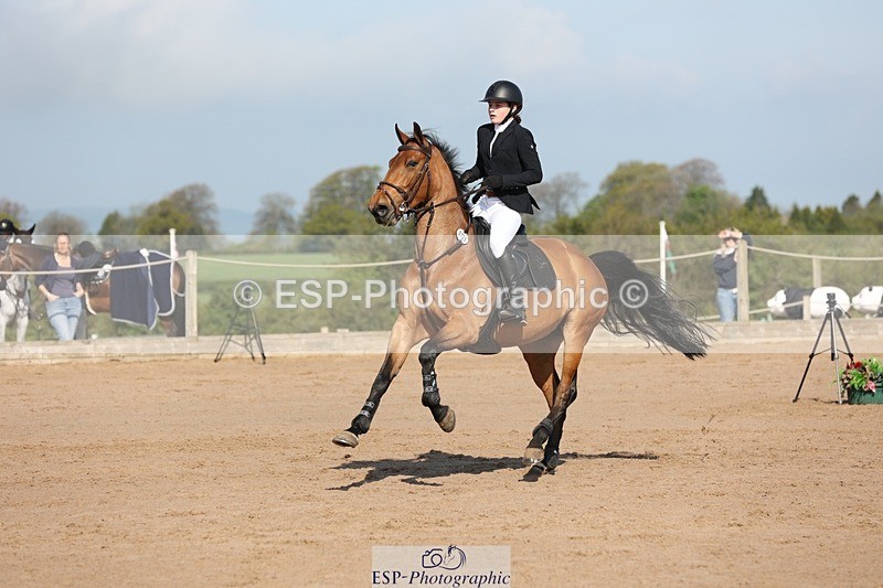 250427-093312-14925 - Cls 32 Young Horse 6yr old