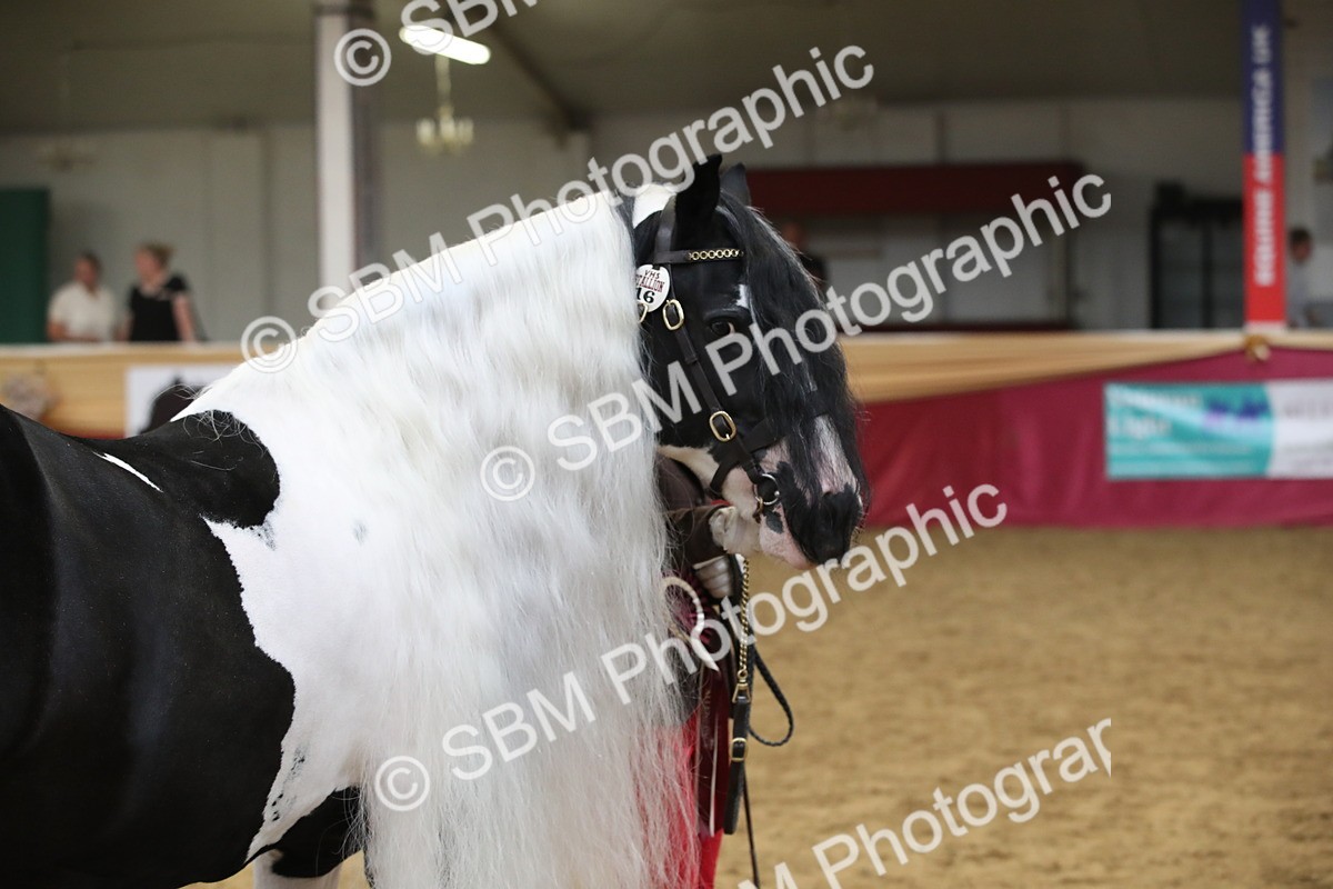 SBM_05823 - Class 9R - Regional IH Pre-Vet