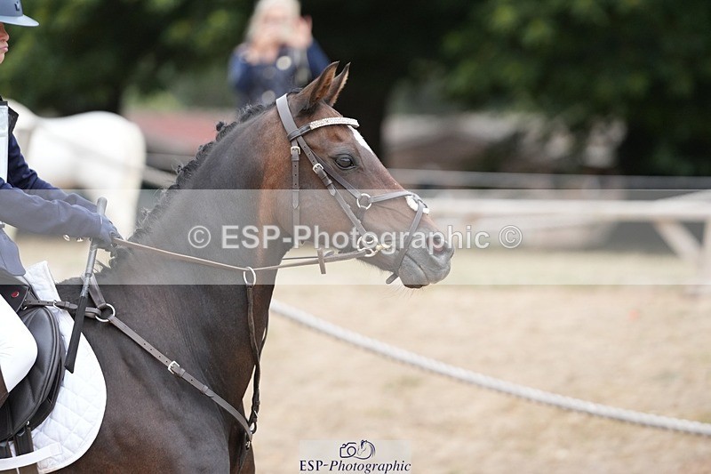 250820A-114156-04347 - Round 2, 10.45 to 11.45 Break