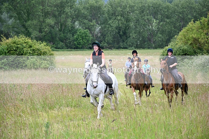 WJ6_8408 - Camera 1 Gallops