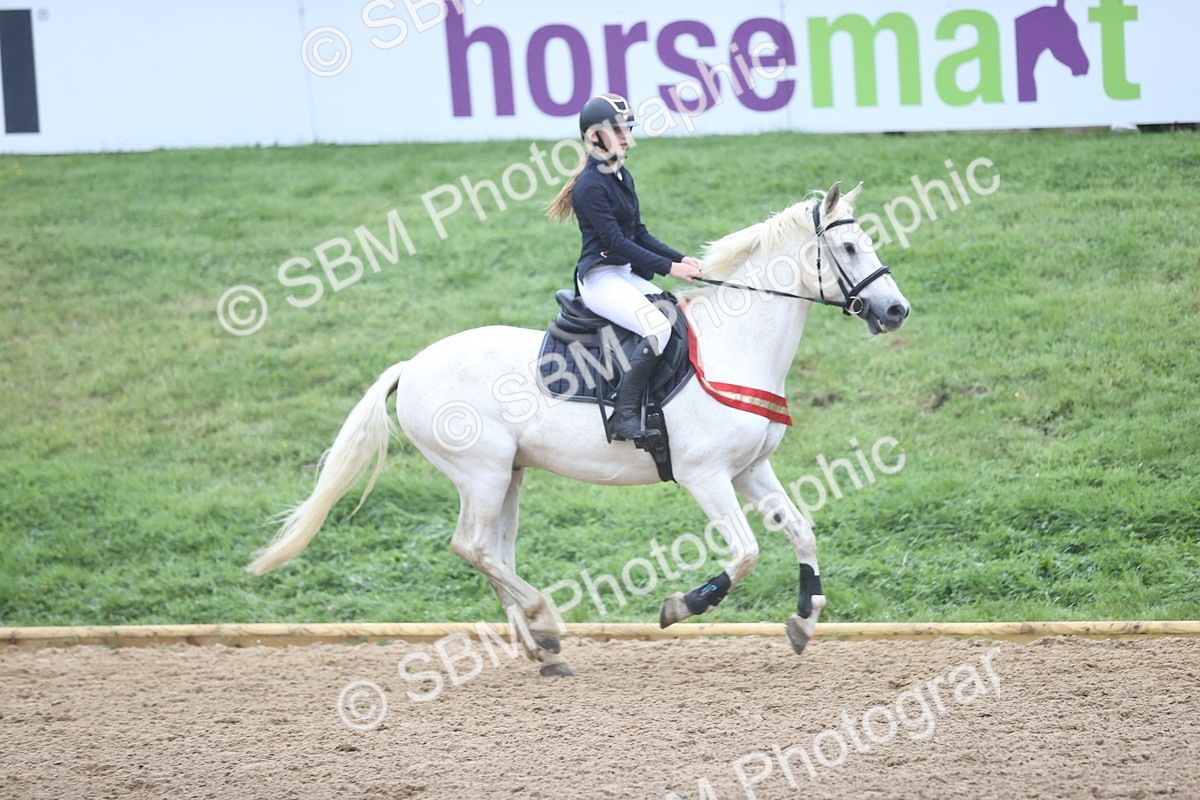 SBM_73633 - J19 - Junior Horse & Pony 90cm Supreme championship
