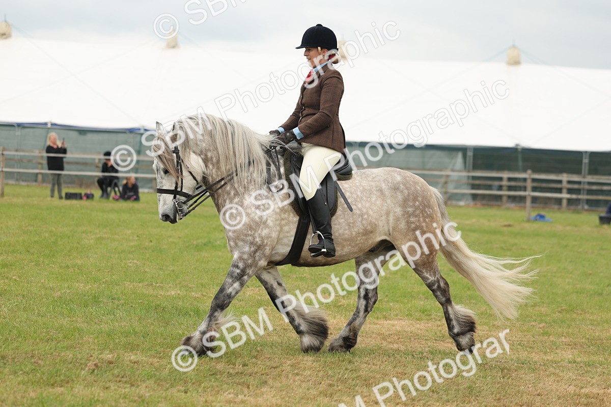 SBM_08971 - Class 78-80 - Ridden M&M Non Welsh Ponies