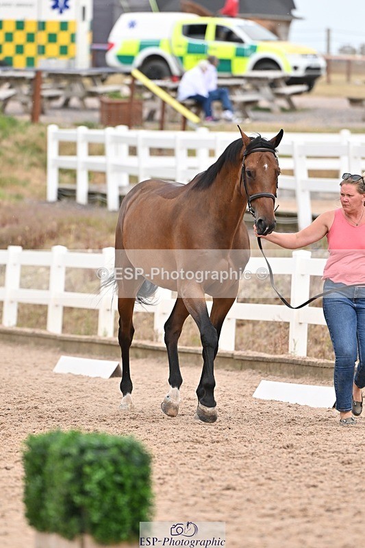 250716-160948-02467 - Trot Up 3.30 to 4.30