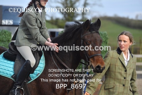 BPP_8697 - TRAINING STAKES