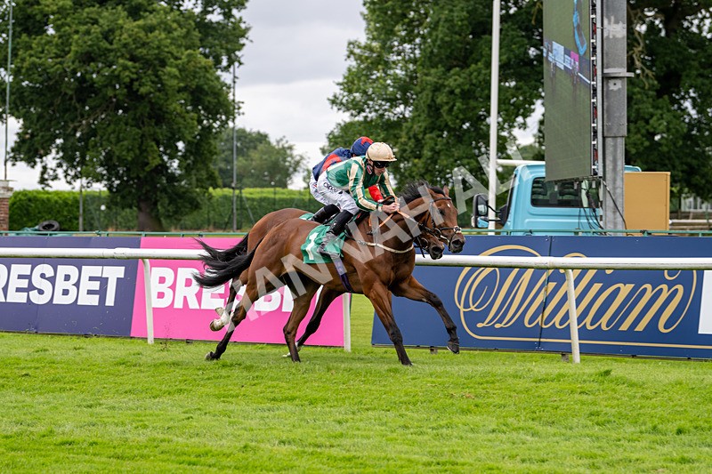 030724-Race 2-The Crafty Mole-0526 - Race 2