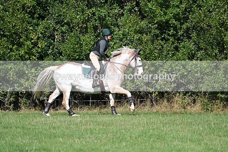 WJ7_9007 - Time 11:10 to 11:53