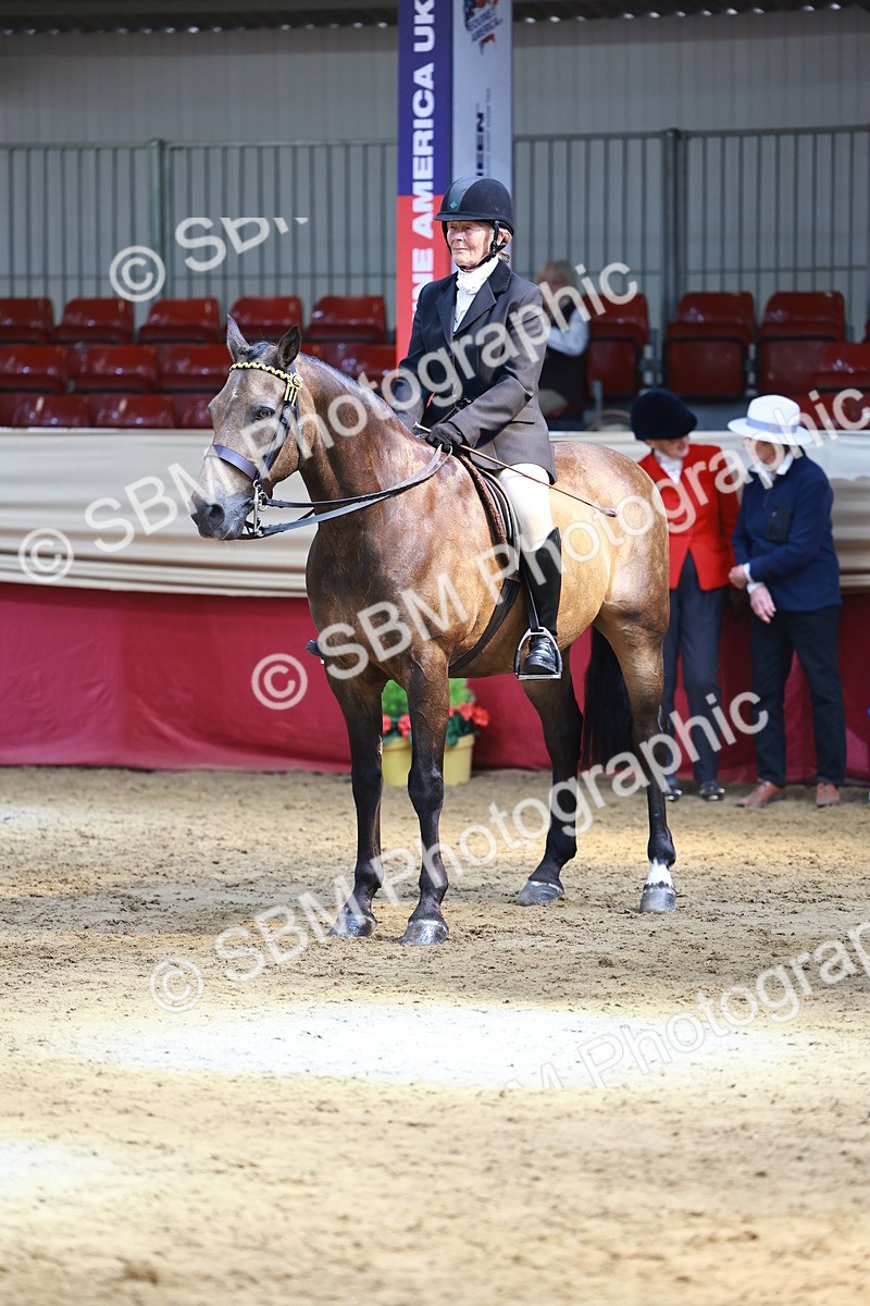 SBM_23942 - Class 905 - Supreme Final - Ridden Veteran