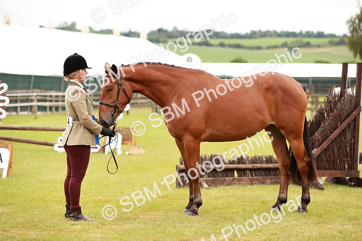 SBM_00829 - Class 26-30 Sport Horse In Hand