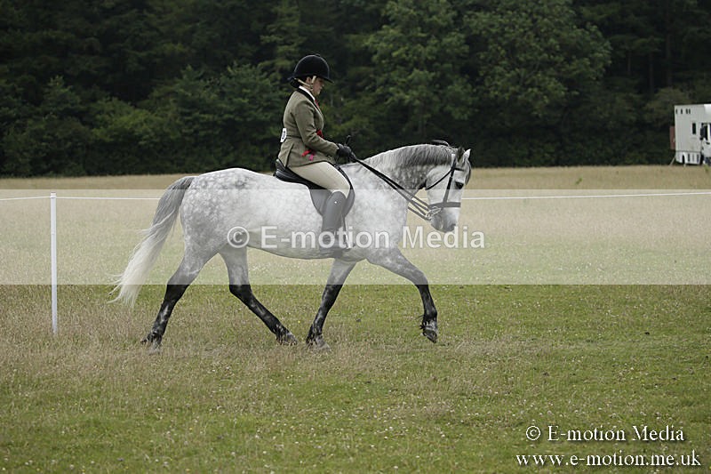 B230619-0927 - Bourne Valley Riding Club Summer Show 23/06/19