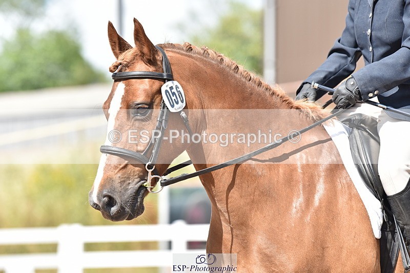 240706A-155044-04032 - Cls 4D Snr Elementary