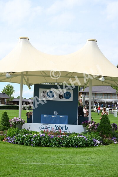 yr11062021r4-38 - Race 4 3.30pm British EBF supporting Racing with Pride Fillies' Handicap