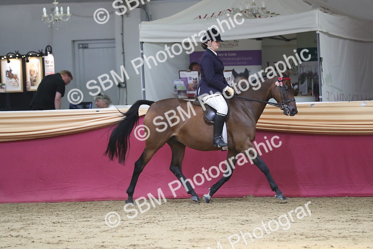 SBM_08385 - Class 11R Regional Ridden Veteran