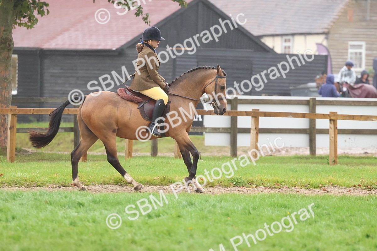 SBM_73034 - S63 Show Pony & Show Hunter Pony Ridden