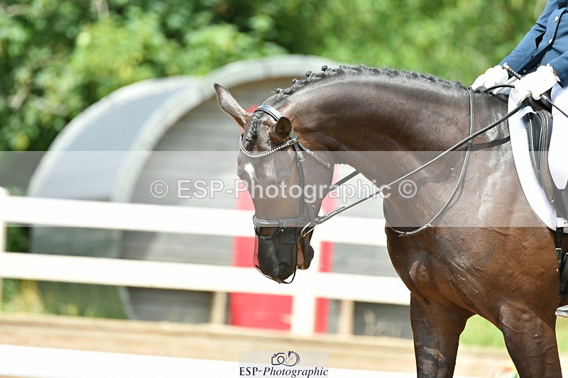 230702A-133121-09528 - Cls 29 Elementary 57