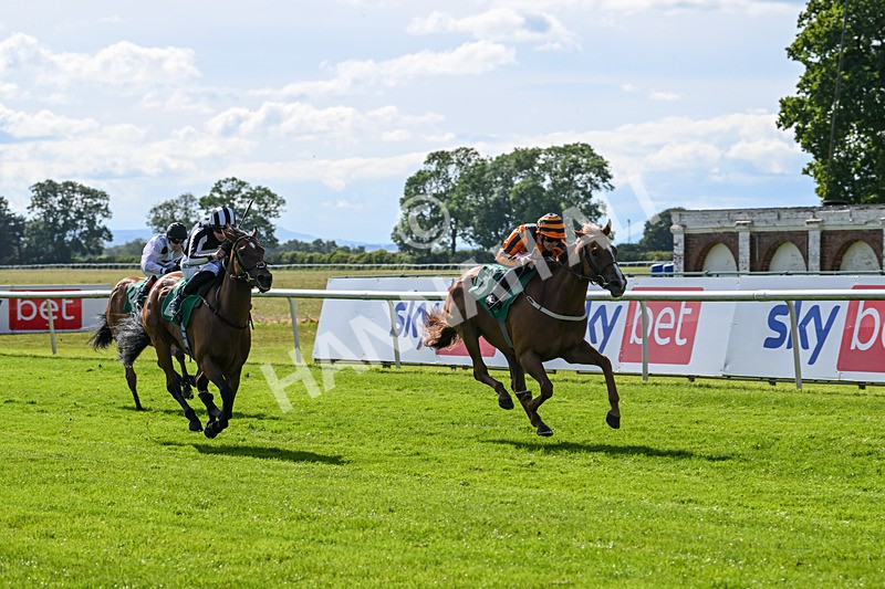 160624-Race 3-Mereside Diva-8526 - Race 3