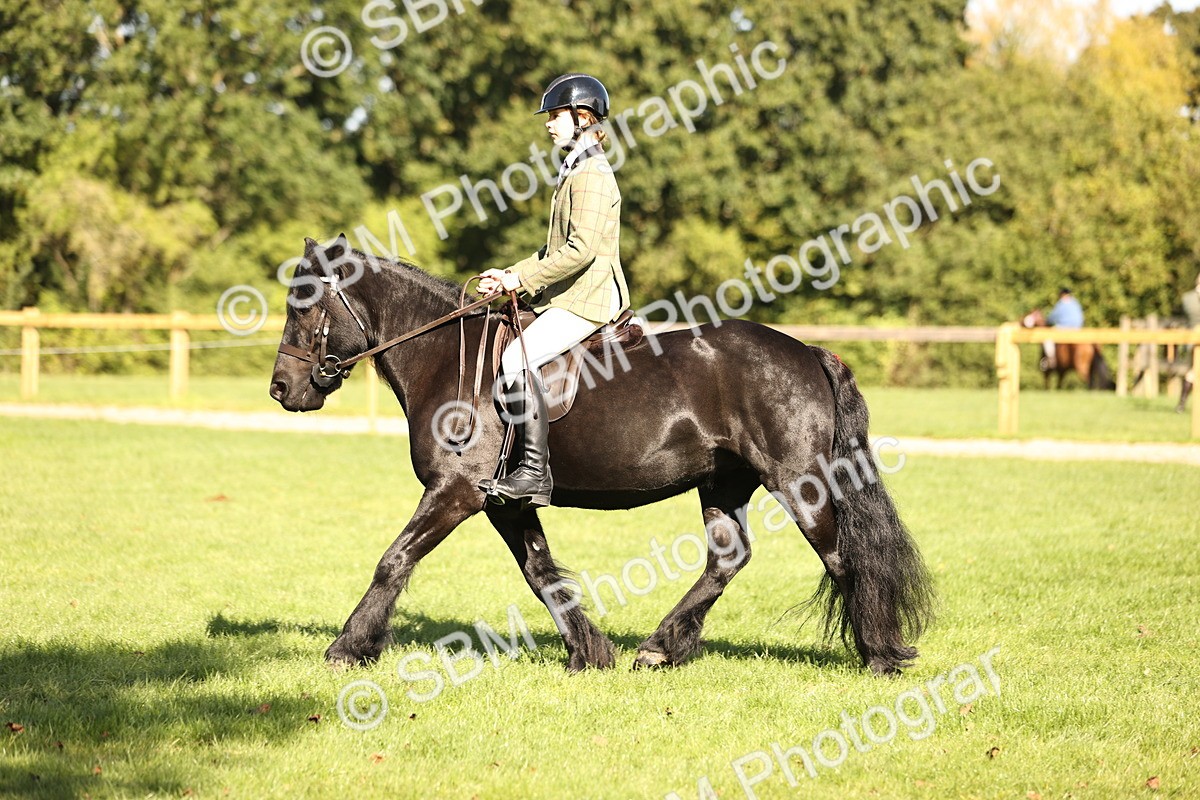 SBM_19082 - S3 - TSR Ridden Pony Showing