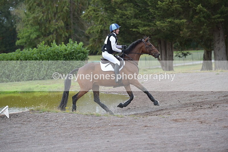 NGP_2906 - XC Time 11:37 to 11:57