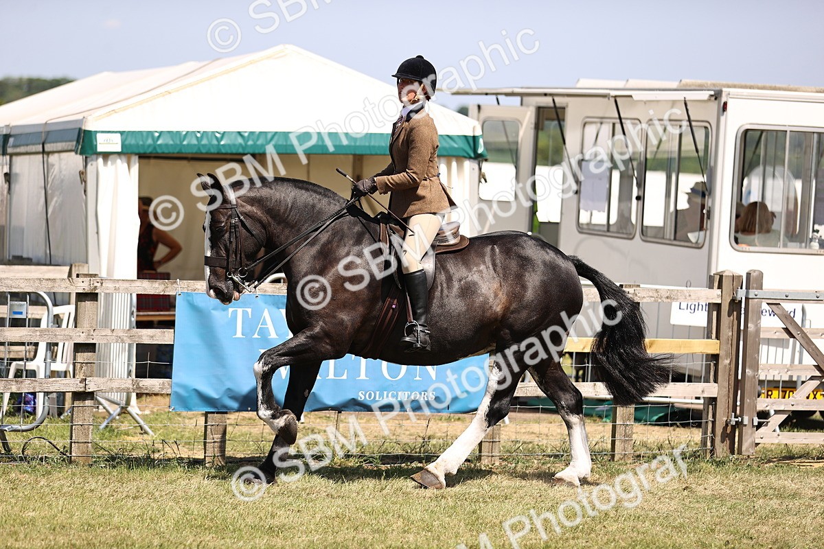 SBM_17863 - Class 81-83 - TSR Ridden Amateur of the Year - Horses