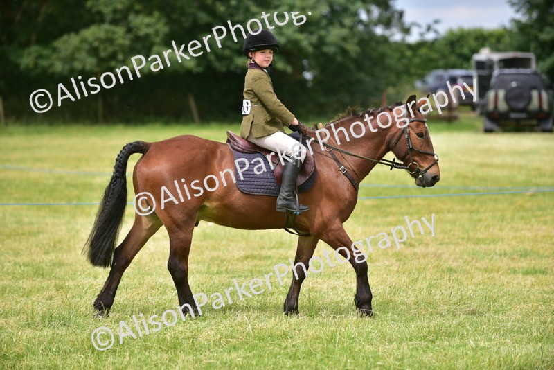 20260614-4177 - Class 17 - Best Mane and Tail