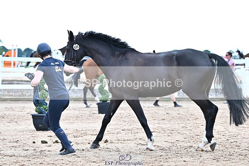 240718A-105325-01993 - Trot Up 2pm to 3pm - This folder is not in time order
