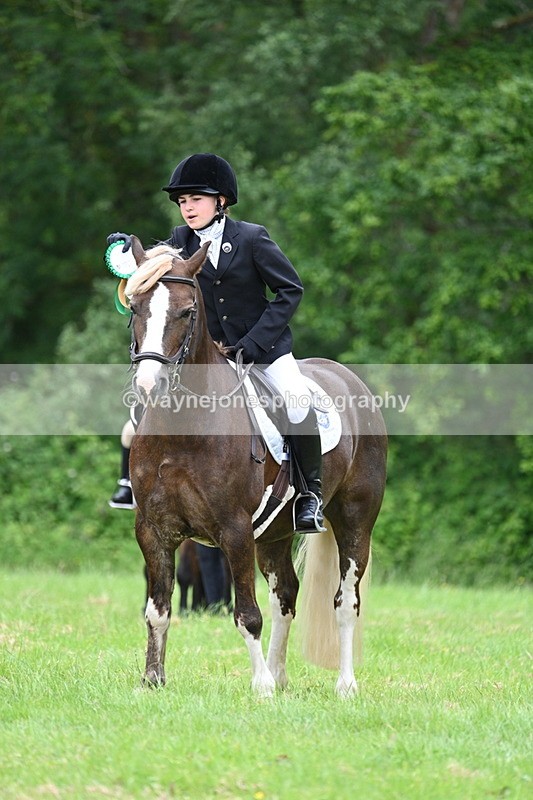 WJ7_4244 - Class 14A Handsome Gelding