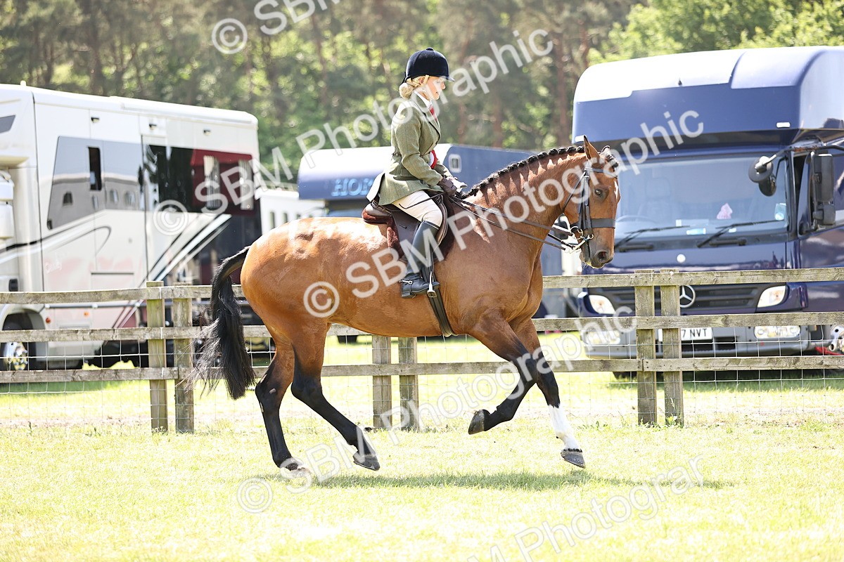 SBM_15247 - Class 79-80 - LIHS BSHA Rising Star Ridden Hunter
