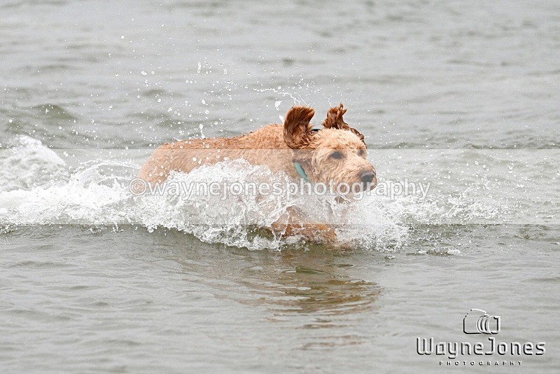 WJ7_9963 - Hayling Island Beach Shoot 22-09-24
