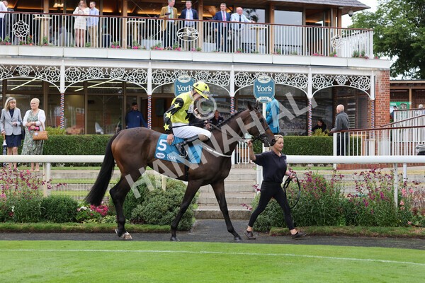 yr22072022r2-13 - Race 2 5.50pm eventmasters.co.uk Stakes