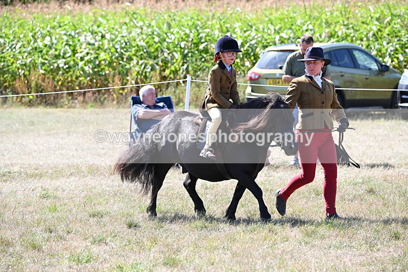 WJ6_8093 - Class 36 Lead Rein