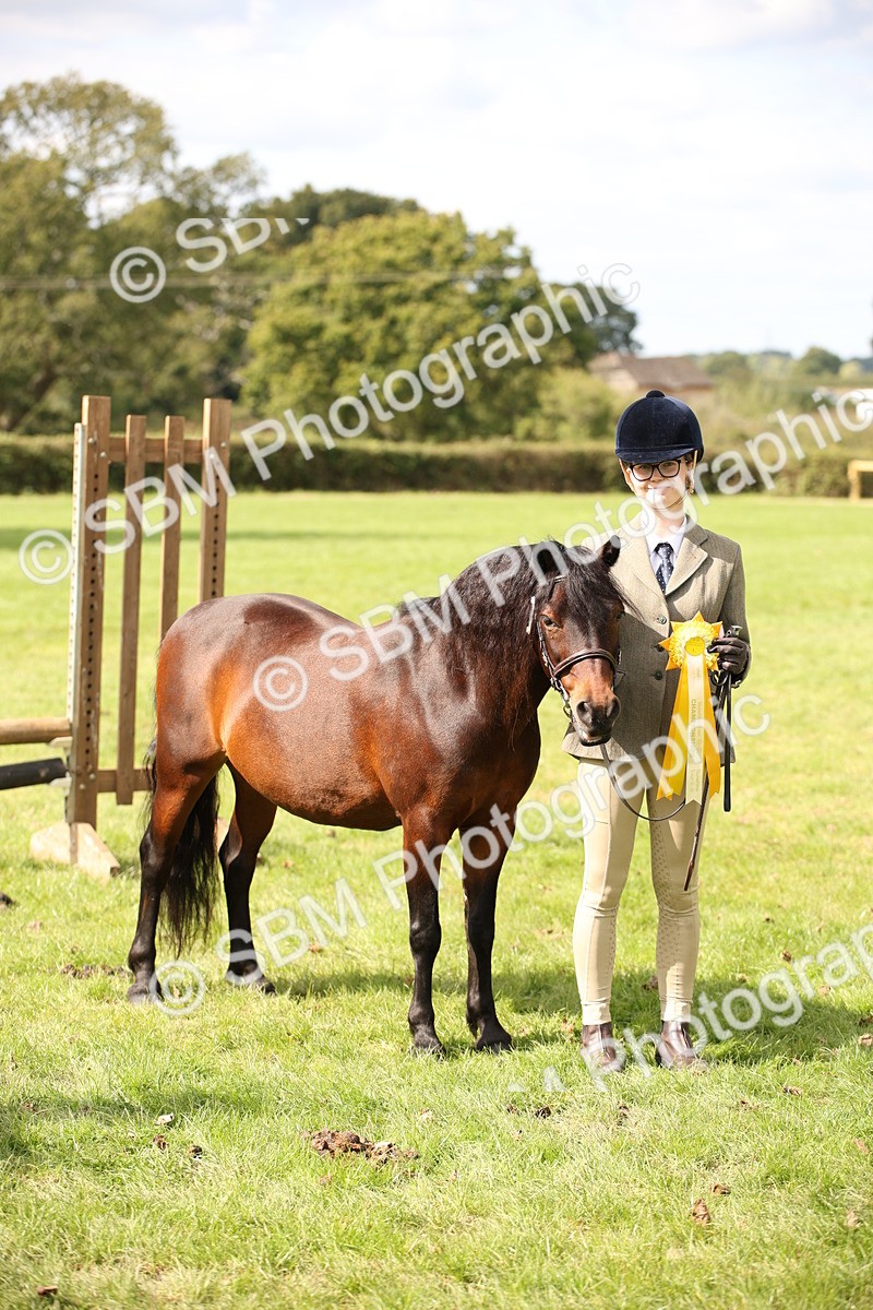 SBM_44523 - S24 - Young Veteran in hand
