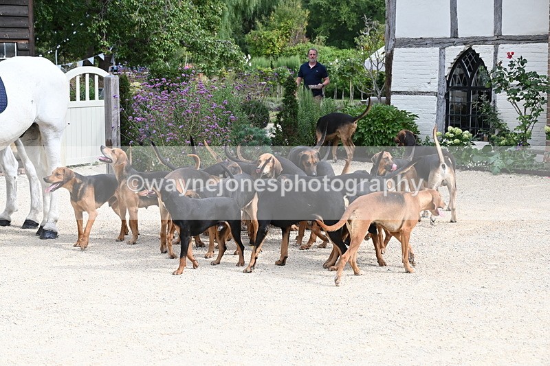 WJ6_3440 - Berks & Bucks - The Old farmhouse - Hound Exercise 20-08-25