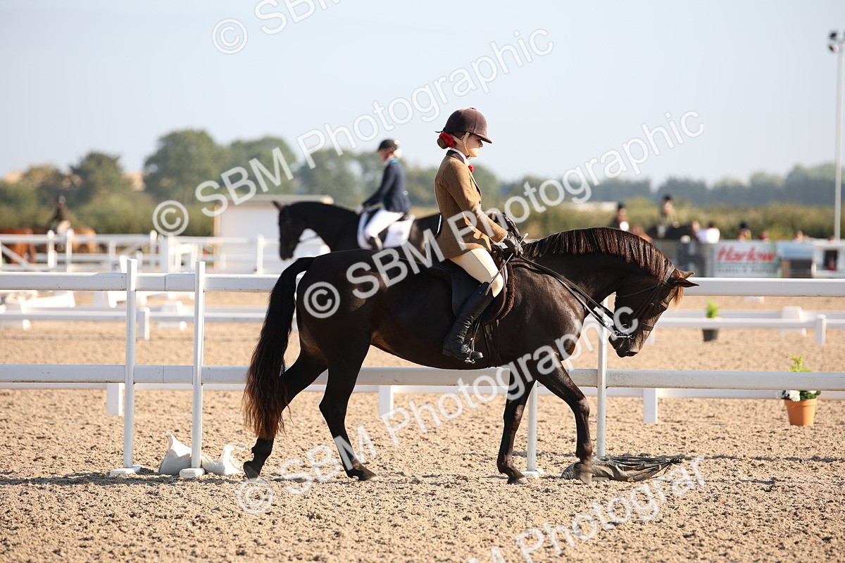 SBM_00610 - Class 14 Ridden M&M Wildcard