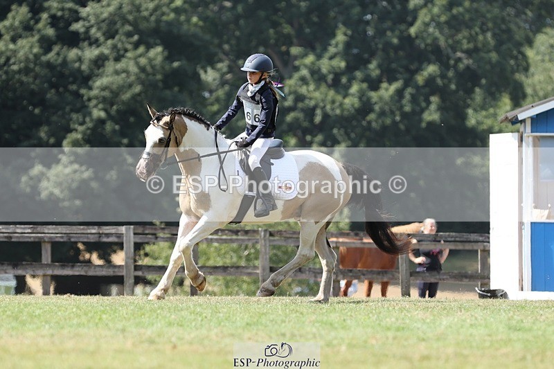 250823A-133614-31333 - Arena D