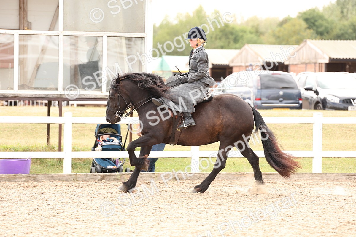 SBM_16405 - Class 211 - Best Side Saddle Horse - Pony