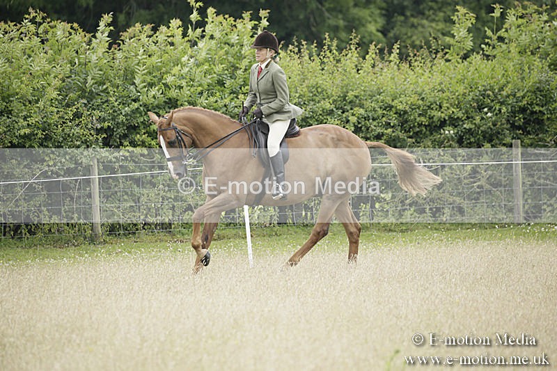 B230619-0719 - Bourne Valley Riding Club Summer Show 23/06/19
