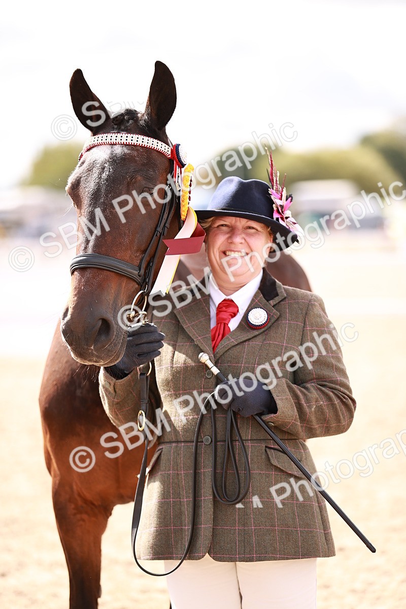 SBM_14236 - Class 407 - IH Hack Riding Horse