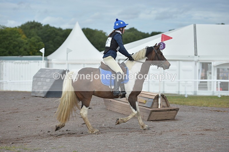 NGP_1364 - XC Time 10:38 to 10:51