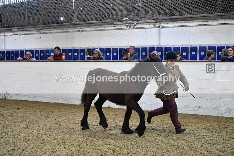 WJ5_3526 - Class 1 Youngstock