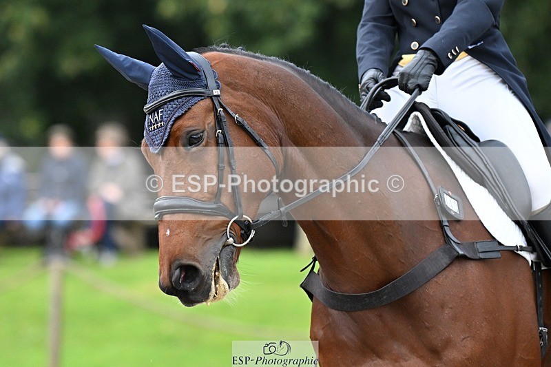 231019-113639-01856 - 040-DODINGTON-Sophie.Wildern-DR