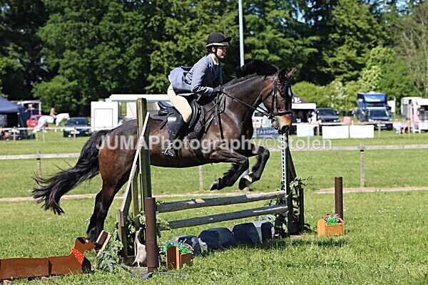 IMG_4026 - Working Hunter