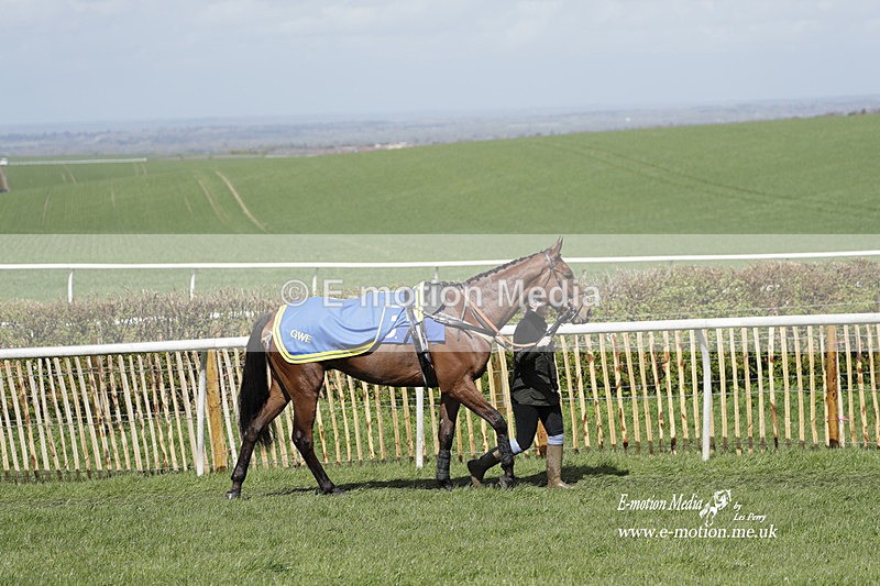 PtP 100423 456 - Old Berkshire Point-to-Point Lockinge 10/04/23