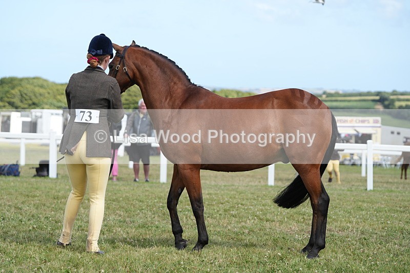 DSC07428 - Class 70: NPS SHP 4 years and over