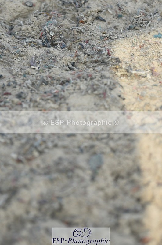 230817-094546-01673 - Kay's 1st Group - Arena