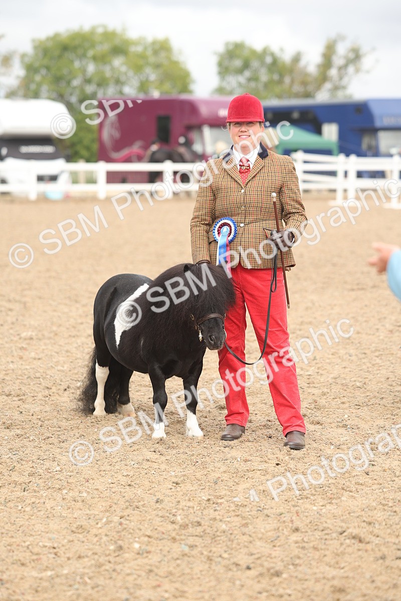 SBM_02141 - Class 15 - IH Coloured