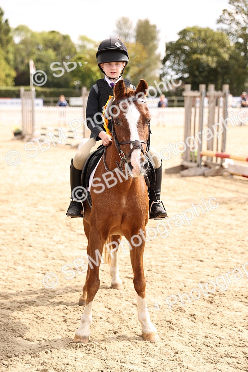 SBM_64031 - J12 - Junior Pony 55cm Championship