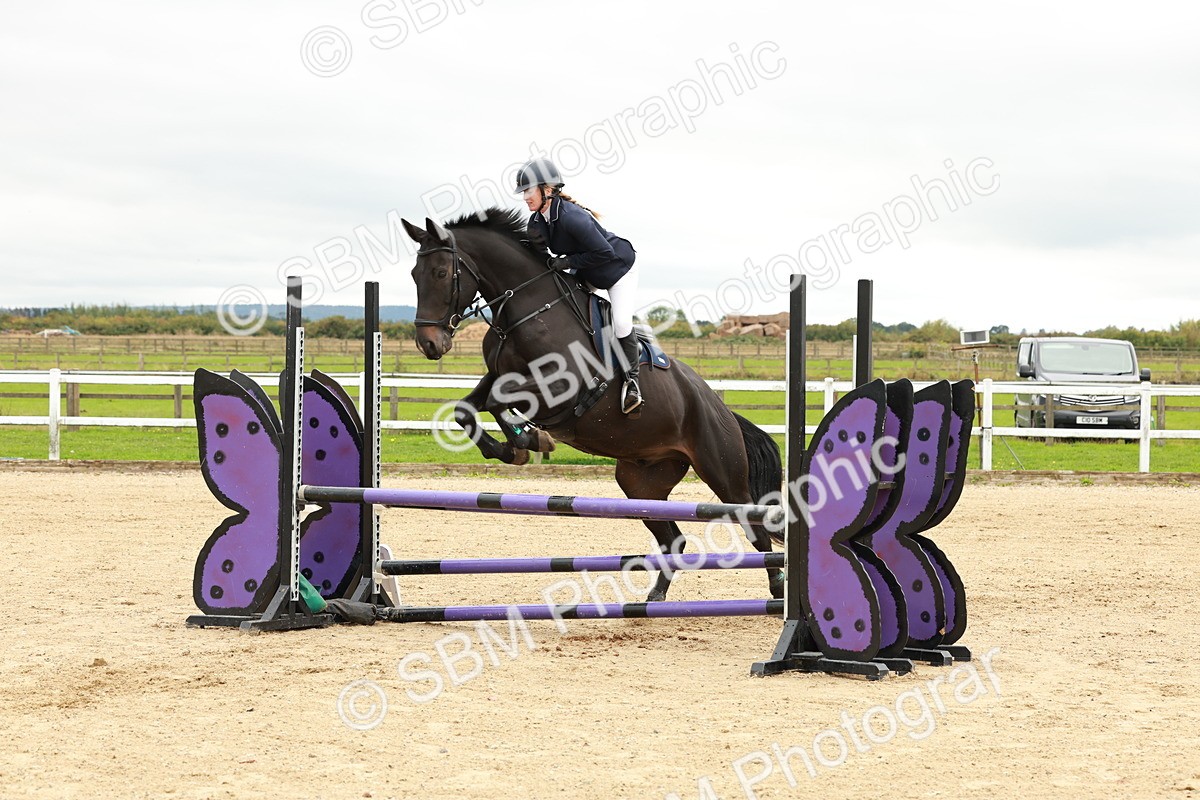 1I0A6884 - Class 2 - Senior British Novice