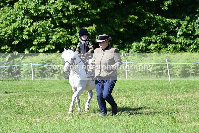 WJ7_0572 - Class 8 First Rally Pony