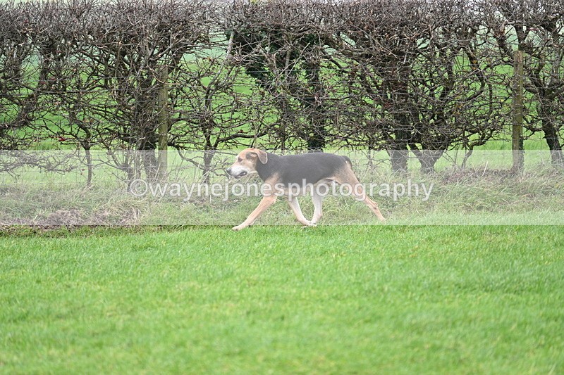 WJ7_8933 - Camera A